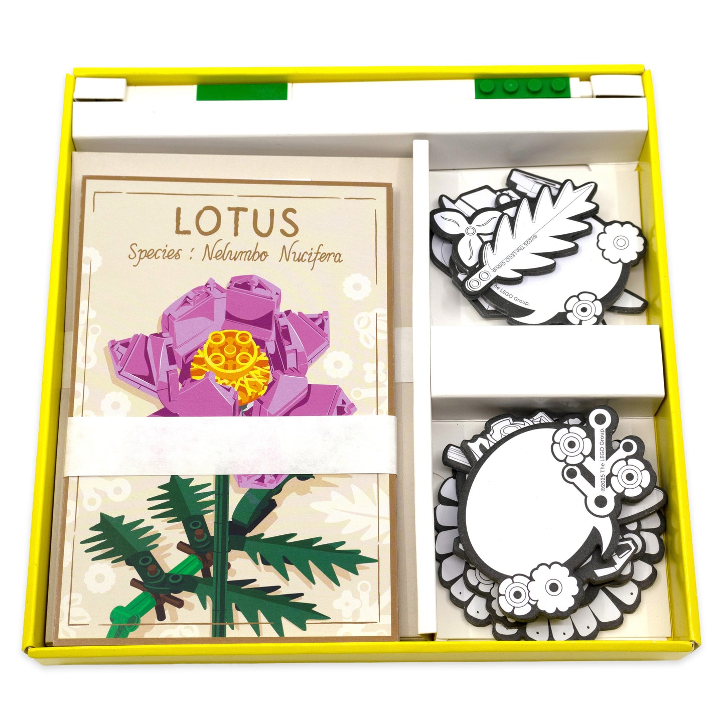 LEGO® Stationary Set Botanicals (53599)